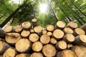 chauffage au bois durable — Stûv chez Etincelles, Antony (92)