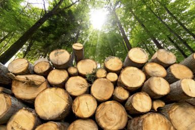 chauffage au bois durable — Stûv chez Etincelles, Antony (92)