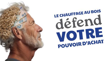 chauffage bois pouvoir d'achat — Poujoulat chez Etincelles, Antony (92)